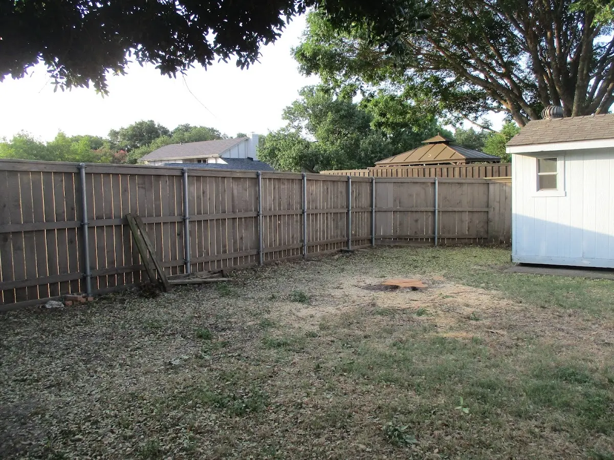 Cleared yard after professional tree removal in Centereach