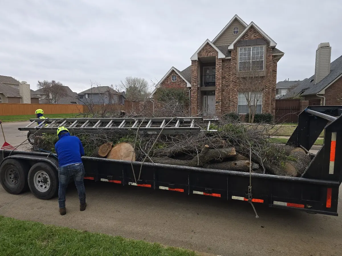 Expert Tree Fertilization with proper safety equipment in Centereach